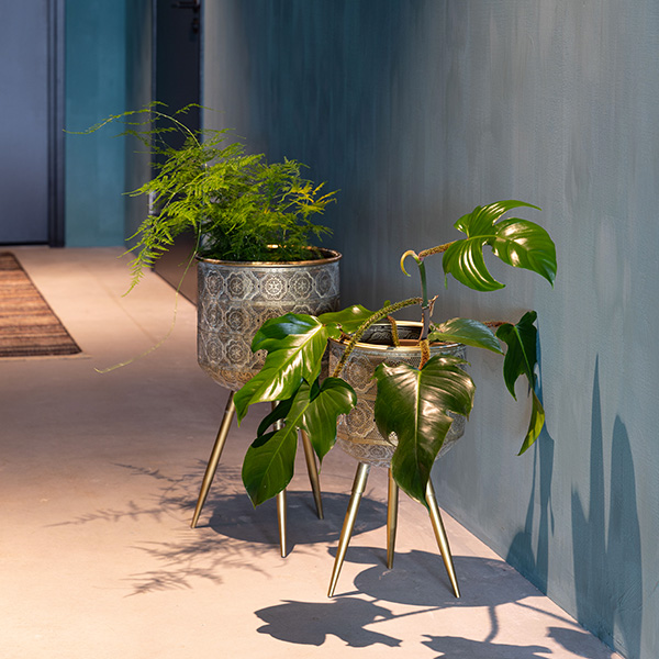 Form-Botanique Plant Stand