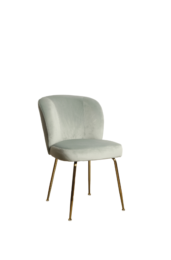 Hometrends-Polpona Aquatic Dining Chair